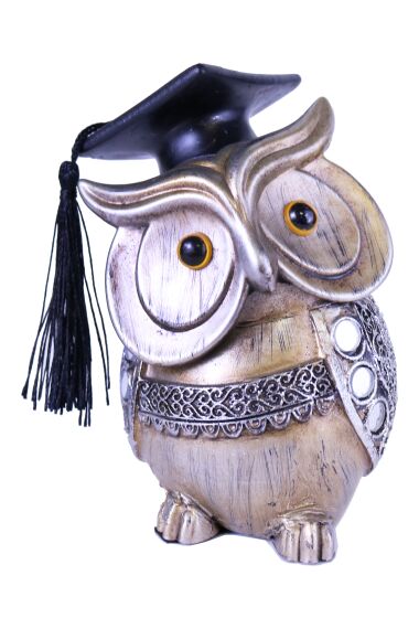 iOne Art Owl