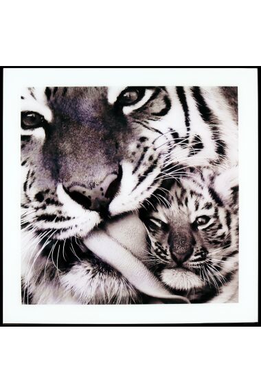 Tavla i Glas Tiger Baby
