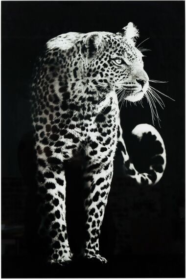 Tavla i Glas Leopard