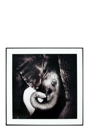 Tavla i Glas Elefant Bebis