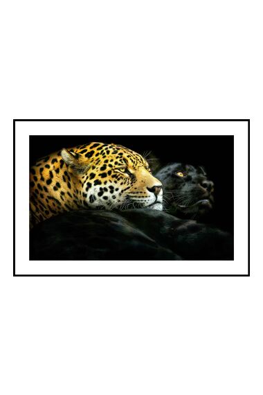 Tavla i Glas Leopard Yin Yang