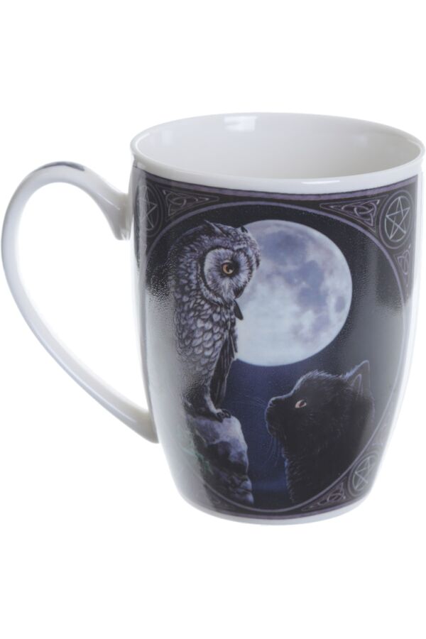 Lisa Parker Purrfect Wisdom Owl & Cat Mug