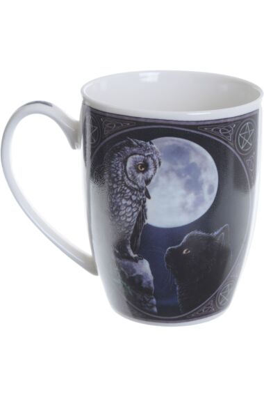 Lisa Parker Purrfect Wisdom Owl & Cat Mug