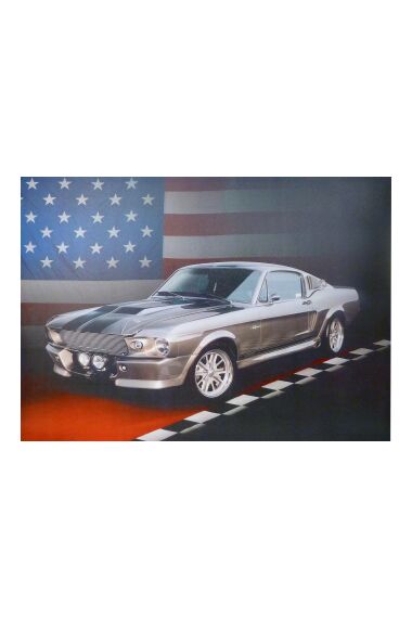 Tavla Canvas American Mustang