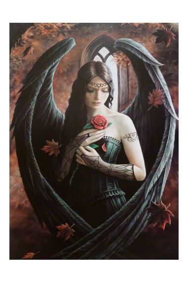 Tavla Canvas Angel with Rose